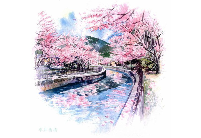 2016-0302-水彩画-手描きパース-桜並木
